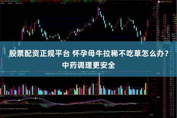 股票配资正规平台 怀孕母牛拉稀不吃草怎么办？中药调理更安全